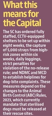 A detailed insight into the SC's order. A detailed insight into the SC's order.