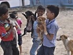 Children playing with street dogs in New Delhi. (Arun Sharma/Hindustan Times)