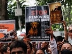 The Supreme Court on Monday ordered that all stray dogs in Delhi-NCR be picked up within eight weeks and relocated to shelters.