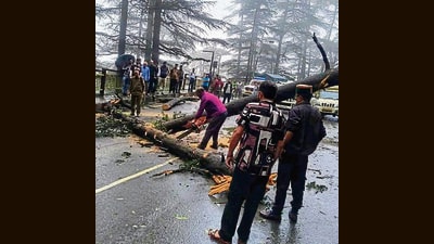 Road blocked due to uprooted tree in Shimla on Wednesday. (HT Photo) Road blocked due to uprooted tree in Shimla on Wednesday. (HT Photo)