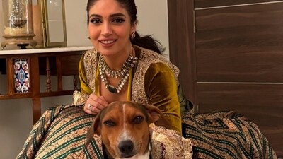 Bhumi Pednekar feels removing stray dogs will not solve the root issues but create more cruelty and displacement. Bhumi Pednekar feels removing stray dogs will not solve the root issues but create more cruelty and displacement.