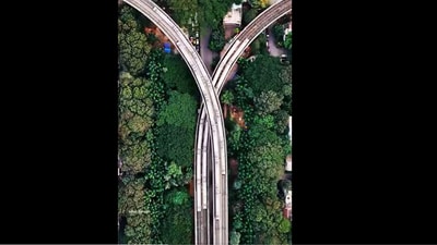 Captured near the RV Road interchange, the video has sparked admiration. (X/@sriharikaranth) Captured near the RV Road interchange, the video has sparked admiration. (X/@sriharikaranth)