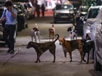 New Delhi: Stray dogs at a street at Shalimar Bagh area, in New Delhi, Monday, Aug. 11, 2025. (PTI Photo/Shahbaz Khan) (PTI08_11_2025_000447A)