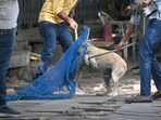 Reported rabies deaths total 54 across all of India in 2024. By comparison, car accidents claim around 2,000 lives every week. (Sanchit Khanna/HT Photo)