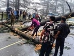 Road blocked due to uprooted tree in Shimla on Wednesday. (HT Photo) Road blocked due to uprooted tree in Shimla on Wednesday. (HT Photo)