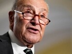 Chuck Schumer, who describes the fictional couple as Reagan-era Republicans, has also weaved intricate details of their personal lives.