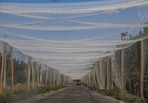 A view of anti-drone nets installed over a road in the frontline town of Kostiantynivka, amid Russia's attack on Ukraine, in Donetsk region, Ukraine August 6, 2025. A view of anti-drone nets installed over a road in the frontline town of Kostiantynivka, amid Russia's attack on Ukraine, in Donetsk region, Ukraine August 6, 2025.