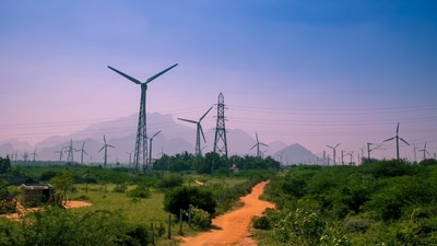Green economy (Shutterstock) Green economy (Shutterstock)
