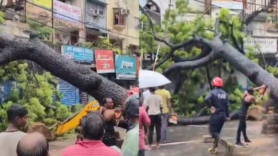 Civic agency workers are removing a tree that fell on a car and a bike in Kalkaji. (VideoGrab) Civic agency workers are removing a tree that fell on a car and a bike in Kalkaji. (VideoGrab)