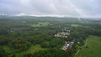 Mumbai, India. Sep 28, 2024: General view of Aarey forest, also known as Aarey Colony, one of the few remaining green spaces in Mumbai. Mumbai India. Sep 28, 2024. (Photo by Raju Shinde/HT Photo) (Raju Shinde/Hindustan Times) Mumbai, India. Sep 28, 2024: General view of Aarey forest, also known as Aarey Colony, one of the few remaining green spaces in Mumbai. Mumbai India. Sep 28, 2024. (Photo by Raju Shinde/HT Photo) (Raju Shinde/Hindustan Times)