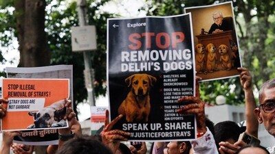 New Delhi: People hold placards during a protest in solidarity with the stray dogs. (PTI)