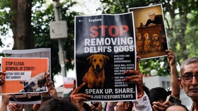 People hold placards during a protest in solidarity with the stray dogs, at Lodhi Garden, in New Delhi, Wednesday, Aug. 13, 2025. (PTI) People hold placards during a protest in solidarity with the stray dogs, at Lodhi Garden, in New Delhi, Wednesday, Aug. 13, 2025. (PTI)