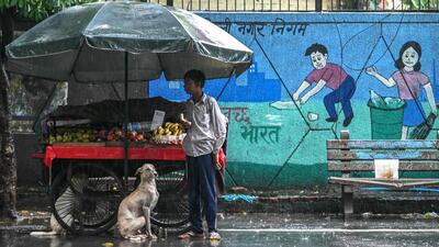 The wall belongs to the DDA and collapsed due to heavy rain and waterlogging, the DCP said. (AFP/Representational image) The wall belongs to the DDA and collapsed due to heavy rain and waterlogging, the DCP said. (AFP/Representational image)