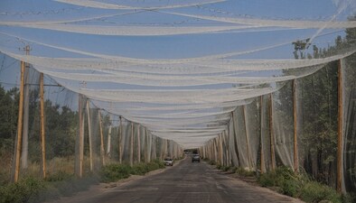A view of anti-drone nets installed over a road in the frontline town of Kostiantynivka, amid Russia's attack on Ukraine, in Donetsk region, Ukraine August 6, 2025. (REUTERS) A view of anti-drone nets installed over a road in the frontline town of Kostiantynivka, amid Russia's attack on Ukraine, in Donetsk region, Ukraine August 6, 2025. (REUTERS)