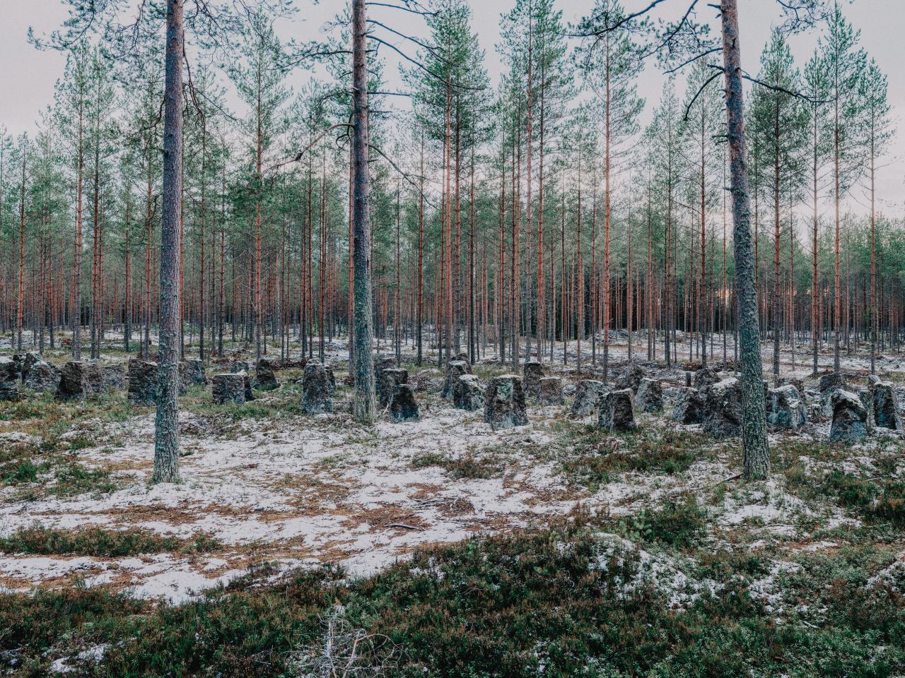 How Finland’s Golf-Loving President Got Trump to Hear Him Out on Russia How Finland’s Golf-Loving President Got Trump to Hear Him Out on Russia