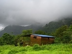 This could be Langdya’s village: A hamlet in Raigad, Maharashtra. (Raju Shinde)