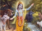 calf-krishna-wallpaper_1755257253831