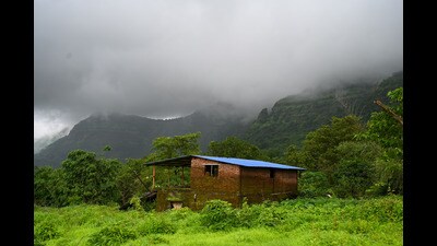 This could be Langdya’s village: A hamlet in Raigad, Maharashtra. (Raju Shinde) This could be Langdya’s village: A hamlet in Raigad, Maharashtra. (Raju Shinde)