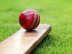 An all-rounder, Aditi contributes as a top-order batter and a spin bowler. (HT Photo for representation)