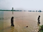 Farmers wade through fields flooded by the Sutlej at Nihalawala village in Ferozepur. (HT)