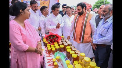 Haryana chief minister Nayab Singh Saini at the workshop on beekeeping in Kurukshetraon Saturday. (HT)