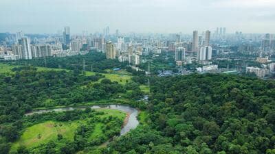 Mumbai, India. June 05, 2025: Top view of Sanjay Gandhi National Parl and Borivali area of Mumbai Suburban. Mumbai, India. June 05, 2025. (Photo by Raju Shinde/HT Photo) (Hindustan Times) Mumbai, India. June 05, 2025: Top view of Sanjay Gandhi National Parl and Borivali area of Mumbai Suburban. Mumbai, India. June 05, 2025. (Photo by Raju Shinde/HT Photo) (Hindustan Times)
