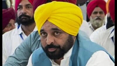 Punjab chief minister Bhagwant Mann (PTI file)
