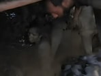 A woman being rescued from the slush that came into her home after a landslide and flash floods, reportedly triggered by a cloudburst, in Kathua district, Jammu and Kashmir, on Sunday, August 17.  