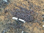 This aerial view shows supporters of different opposition parties during a march calling for an inclusive election in the neighborhood of Yopougon in Abidjan on August 9, 2025, ahead of the presidential election on October 25 This aerial view shows supporters of different opposition parties during a march calling for an inclusive election in the neighborhood of Yopougon in Abidjan on August 9, 2025, ahead of the presidential election on October 25