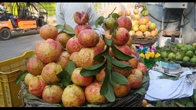 Allahabadi Surkha guavas on sale (File) Allahabadi Surkha guavas on sale (File)