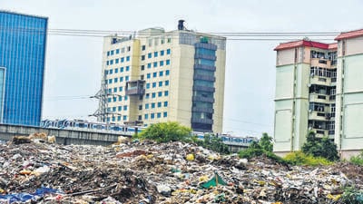 An MCG garbage dumping point in Sector 55 near Golf Course Extension Road. (Parveen Kumar/HT Photo) An MCG garbage dumping point in Sector 55 near Golf Course Extension Road. (Parveen Kumar/HT Photo)