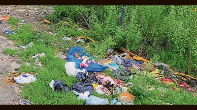 Despite sending photographs of the neglected areas multiple times to authorities, residents claim that their voices are not being heard. (HT Photo) Despite sending photographs of the neglected areas multiple times to authorities, residents claim that their voices are not being heard. (HT Photo)