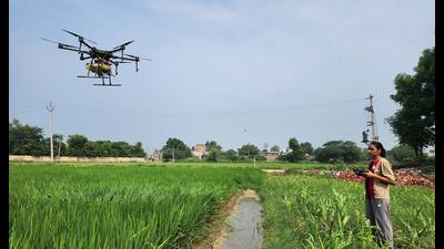Drone Didi Amanjot Kaut of Chathewala village in Bathinda sprays pesticides on paddy field on Sunday. (Sanjeev Kumar/HT) Drone Didi Amanjot Kaut of Chathewala village in Bathinda sprays pesticides on paddy field on Sunday. (Sanjeev Kumar/HT)