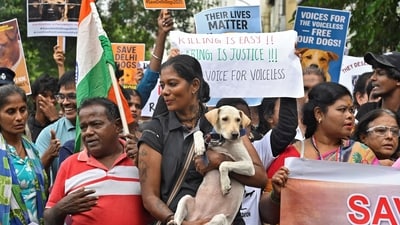 Dog lovers and activists attend a protest rally, after India's top court last week ordered authorities to relocate all stray dogs in Delhi. (REUTERS)
