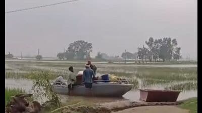 Villagers shifting their belongings to safer areas via boat in Kapurthala on Sunday.
