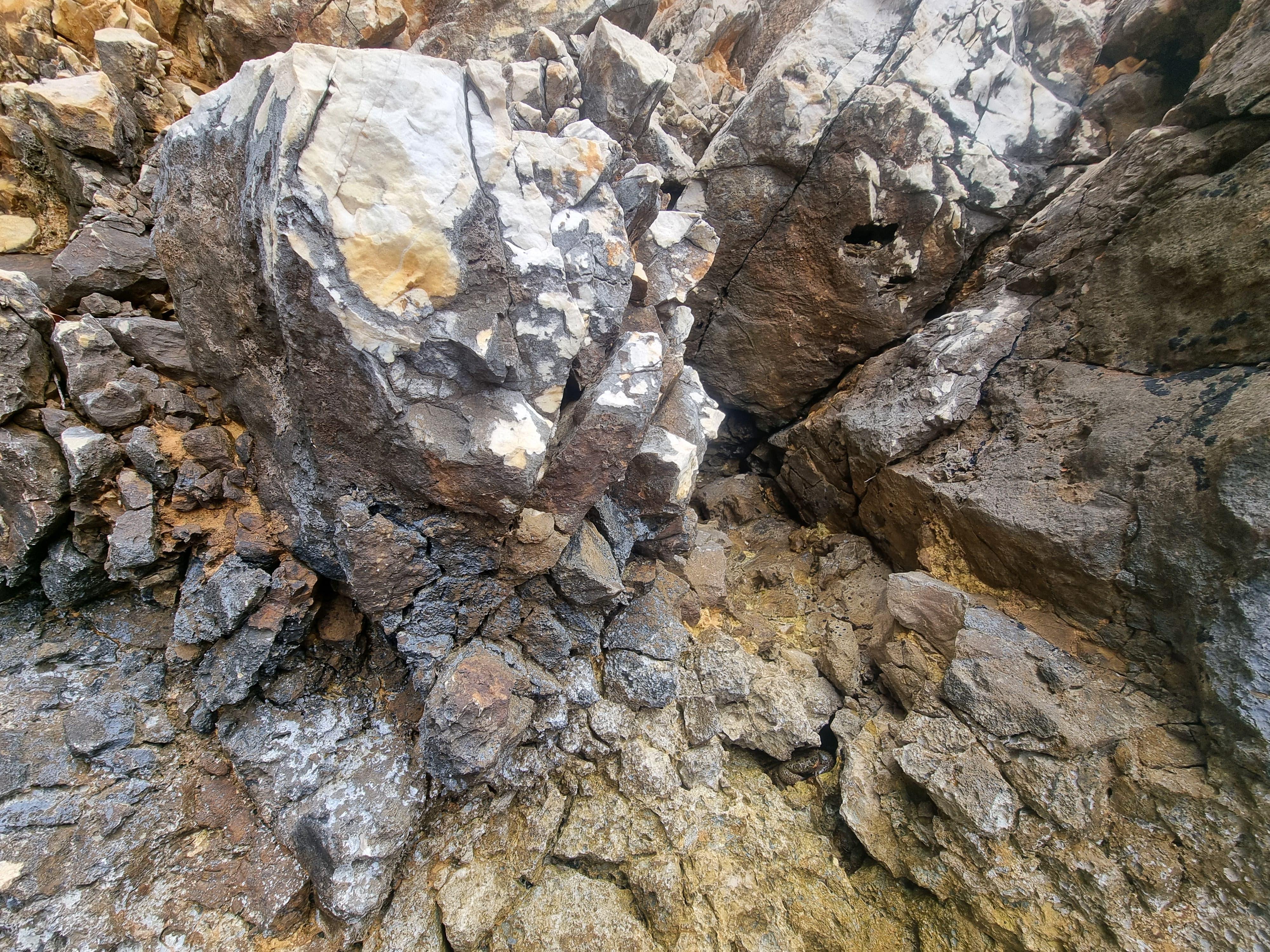 A tricky photo of rocky formations sparked debate online as people tried to locate a well-camouflaged crab. (Reddit/Apprehensive-Dig5388) A tricky photo of rocky formations sparked debate online as people tried to locate a well-camouflaged crab. (Reddit/Apprehensive-Dig5388)
