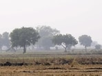 At least four lakh hectares of land have been notified under the three authorities, but master plans cover only about 150,000 hectares, and just 40,000 hectares have actually been acquired.