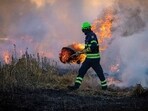 No structures are under threat in the area due to the fire. Image for representation No structures are under threat in the area due to the fire. Image for representation