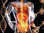 Harvard trained gastroenterologist debunks popular gut health myths.
