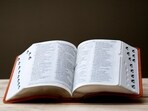 Several Gen Z internet slang words, such as delulu, have been added to the Cambridge Dictionary this year.
