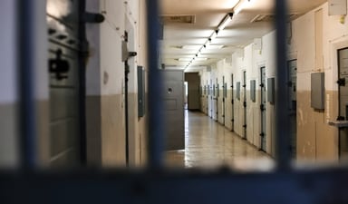 Anita Doran received donations from different people after the alleged attack. (Representational image). (Unsplash/@Matthew Ansley) Anita Doran received donations from different people after the alleged attack. (Representational image). (Unsplash/@Matthew Ansley)