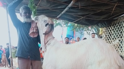 The rally in Bengaluru aims to highlight the struggles of the OBC community, and demand recognition, dignity, and protection for them. (HT/Representative image)
