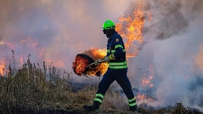 No structures are under threat in the area due to the fire. Image for representation (Pixabay) No structures are under threat in the area due to the fire. Image for representation (Pixabay)