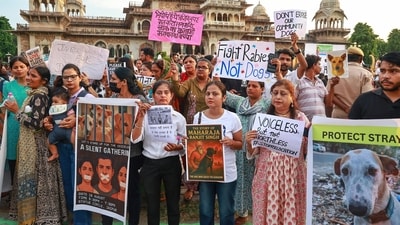 Visuals showed a protest near Jaipur's Albert Hall Museum on Saturday against the SC order to move dogs to shelters. (PTI)