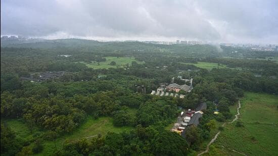 The Aarey forest is one of the few remaining green spaces in Mumbai. (Raju Shinde/HT Photo)