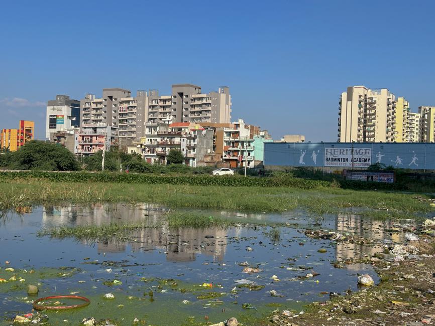 Waterlogging in empty plot, Sector 37D in Gurugram. Credit: Parveen Kumar/HT Photo Waterlogging in empty plot, Sector 37D in Gurugram. Credit: Parveen Kumar/HT Photo
