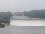 Amid heavy rains in Himachal Pradesh, water levels in Punjab’s major dams — Bhakra, Pong and Ranjit Sagar—have risen sharply. The sudden increase in inflows has raised alarm, with authorities on high alert for floods. Efforts are underway to manage the rising water levels and prevent widespread damage. Amid heavy rains in Himachal Pradesh, water levels in Punjab’s major dams — Bhakra, Pong and Ranjit Sagar—have risen sharply. The sudden increase in inflows has raised alarm, with authorities on high alert for floods. Efforts are underway to manage the rising water levels and prevent widespread damage.