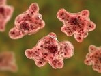 A test carried out at the microbiology lab of the medical college revealed on August 15 night that the cause of her death was amoebic encephalitis. (Pic used for representation) A test carried out at the microbiology lab of the medical college revealed on August 15 night that the cause of her death was amoebic encephalitis. (Pic used for representation)