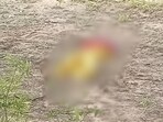 A playschool teacher was found dead in a field near a canal at Singhani village of Bhiwani district on August 13 A playschool teacher was found dead in a field near a canal at Singhani village of Bhiwani district on August 13
