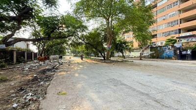 Garbage spread on the road at Sector 12 near district and session court in Faridabad on Tuesday. (Parveen Kumar/ HT Photo) Garbage spread on the road at Sector 12 near district and session court in Faridabad on Tuesday. (Parveen Kumar/ HT Photo)